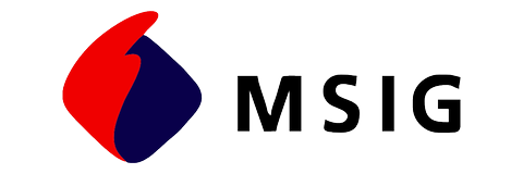 MSIG Seguros